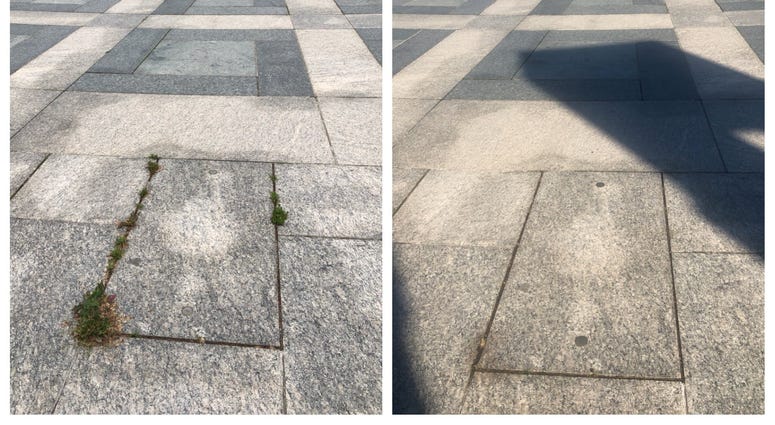 Weeds at memorial