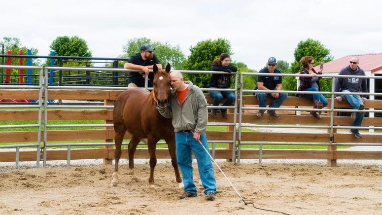 War Horses for Veterans is an equine therapy/horsemanship focused non-profit based in Stillwell, KS.
