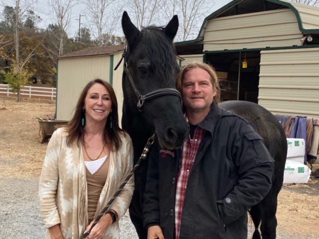 Frank Hannon and Horses