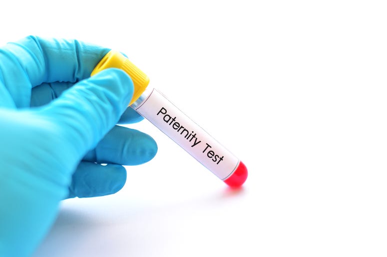 paternity