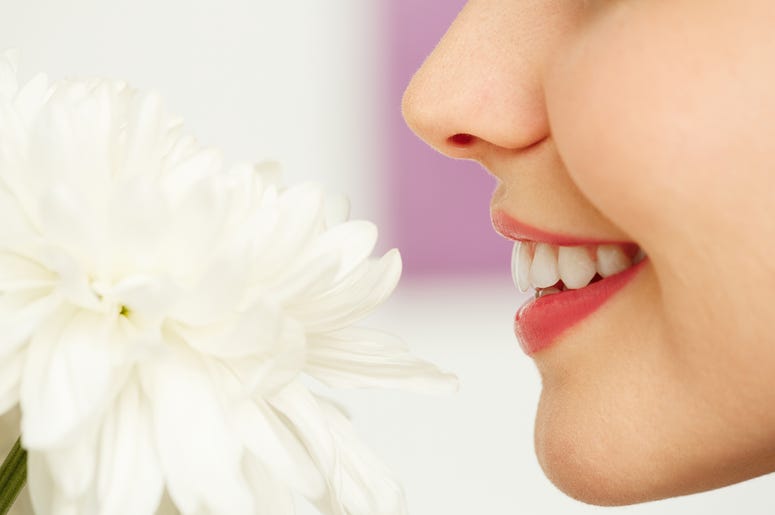 smell