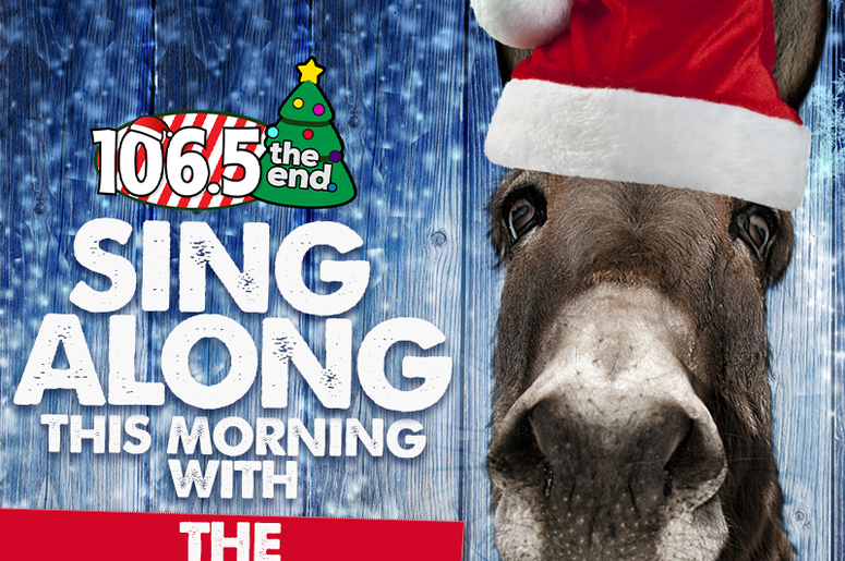 Dominic The donkey