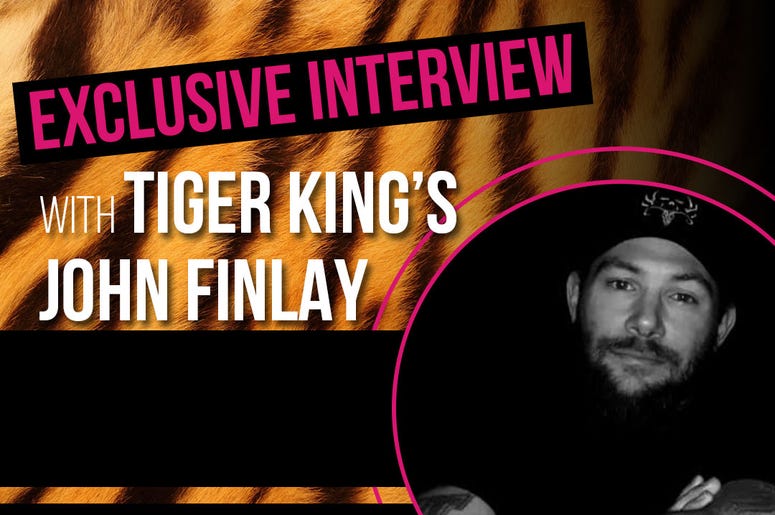 tigerking