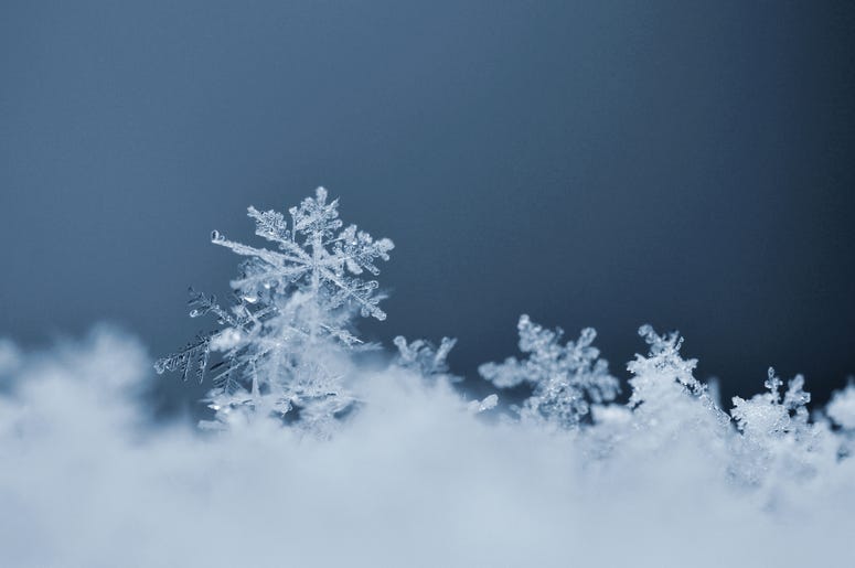 Snowflake. Macro photo of real snow crystal Snowflake. Macro photo of real snow crystal