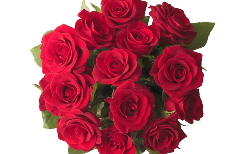 Roses, Flowers