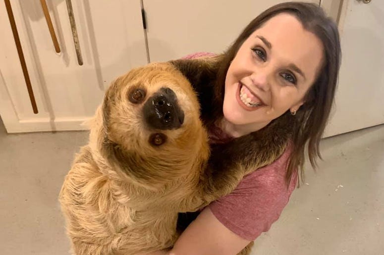 michelle sloth