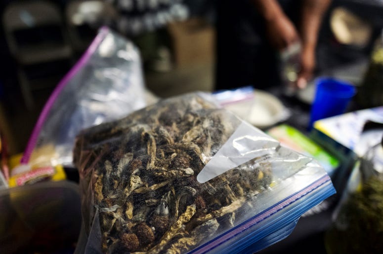 A vendor bags psilocybin mushrooms at a pop-up cannabis market in Los Angeles on Monday, May 6, 2019. Voters decide this week whether Denver will become the first U.S. city to decriminalize the use of psilocybin, the psychedelic substance in "magic mushro