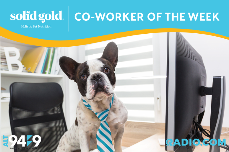 Best Co Worker
