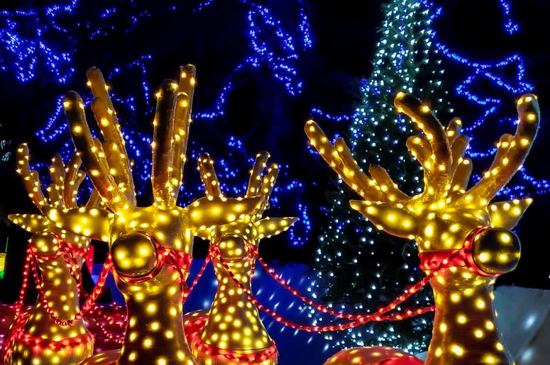 xmas lights