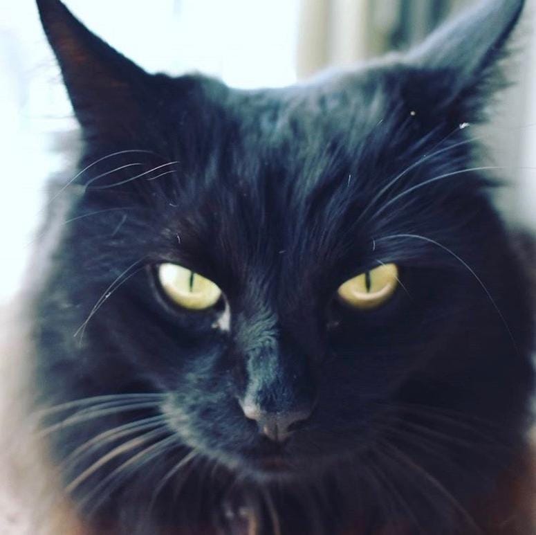 Salem. Pure, unadulterated E-v-i-l!