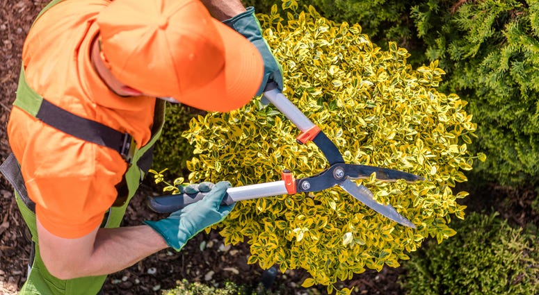 Yardworks Landscaping