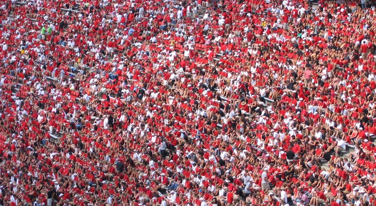 Fans in Stands