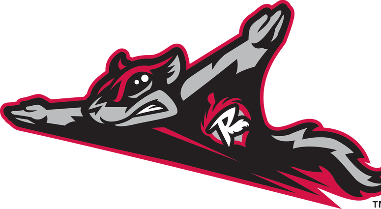 Flying Squirrels Primary (Full Color).png