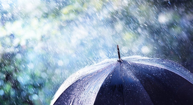 Rainy Day Umbrella
