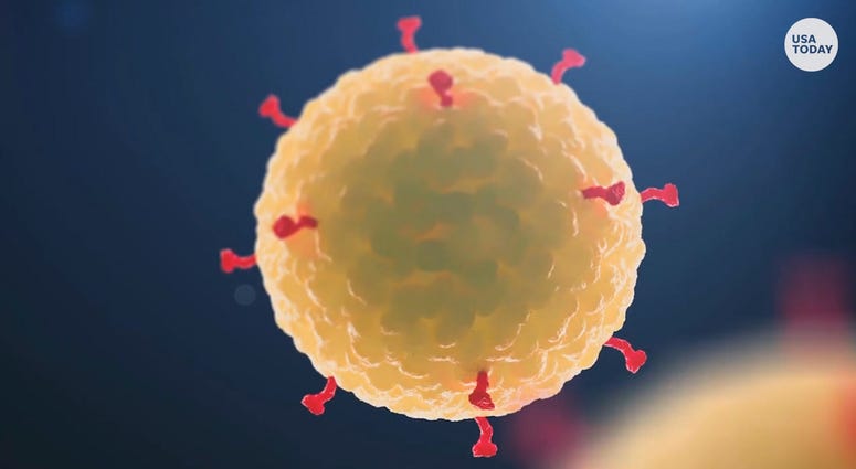 Coronavirus under a microscope