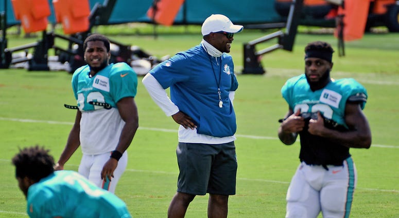 Brian Flores Dolphins