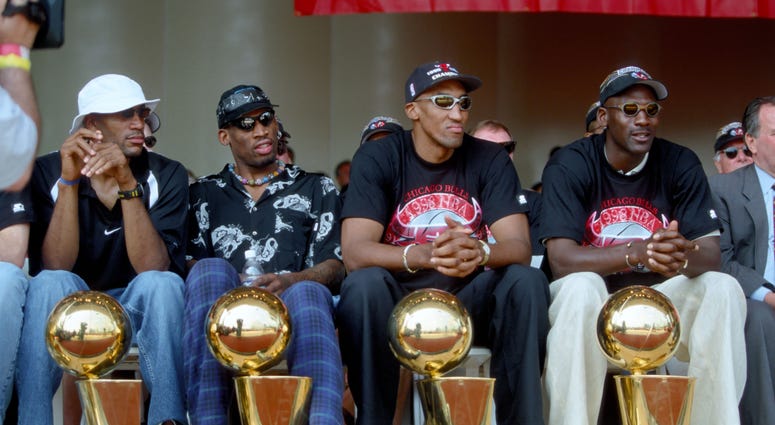 Bulls with Trophies