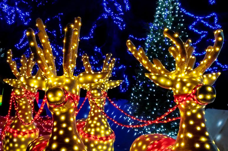 Lights