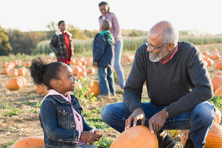 Pumpkin Patch