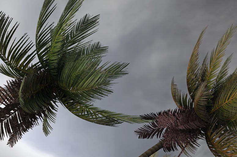 Hurricane Matthew-How You Can Help