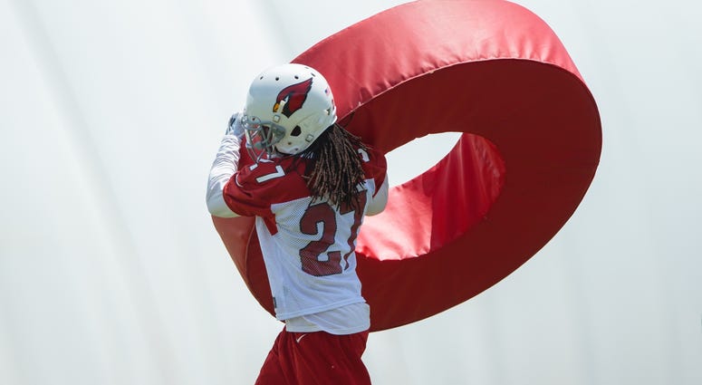 Josh Shaw Josh Shaw