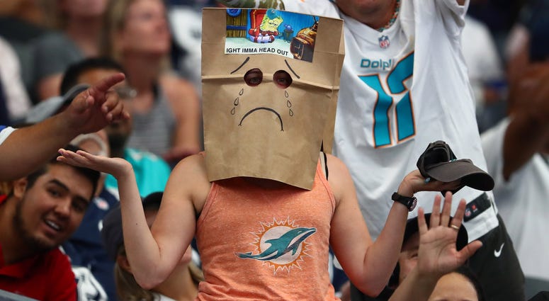 Dolphins Fan Dolphins Fan