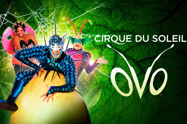 Cirque Du Soleil