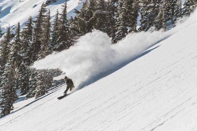 mammoth