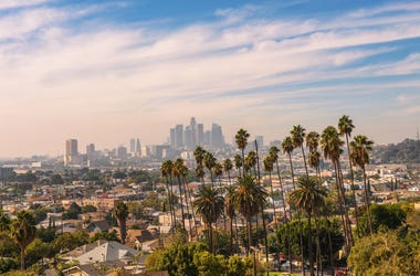 Wai-Lum Weise, Assistant to Mayor Garcetti, Explains What the Future of LA Looks Like