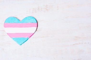 The Importance of International Transgender Day of Visibility