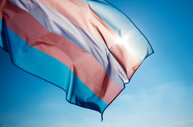 Employment Advocate Rex Wilde on Gender Inclusion in the Workplac
