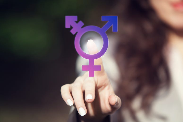 Trans Inclusion