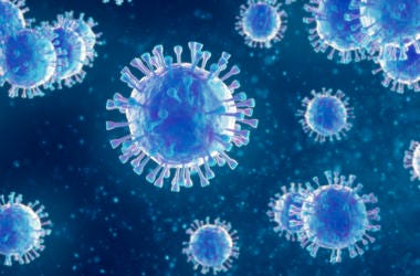 coronavirus