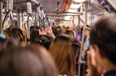 Free Public Transportation!