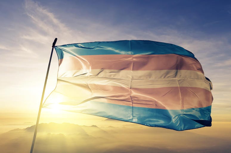 Transgender Flag