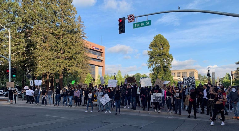 A group of protesters in Santa Rosa's courthouse square.