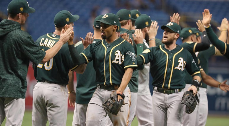 Oakland Athletics Sep 14, 2018; St. Petersburg, FL, USA; Oakland Athletics shortstop Marcus Semien (10) and Oakland Athletics second baseman Jed Lowrie (8) congratulate each other as they beat the Tampa Bay Rays at Tropicana Field. Mandatory Credit: Kim Klement-USA TODAY S