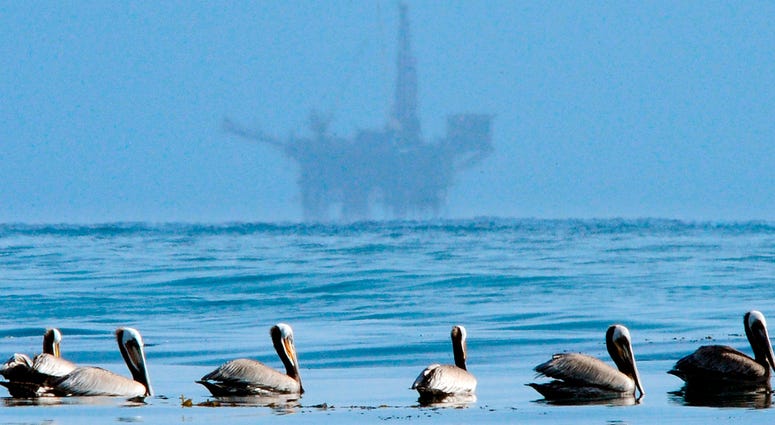 AP18100750268172 FILE - In this May 13, 2010 file photo, pelicans float on the water with an offshore oil platform in the background in the Santa Barbara Channel off the coast of Santa Barbara, Calif. Oil and gas companies drilling off the coast of Southern California vio