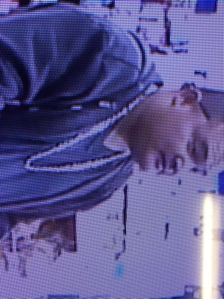 Suspect in fatal shooting of Newman, CA police officer Suspect in fatal shooting of Newman, CA police officer