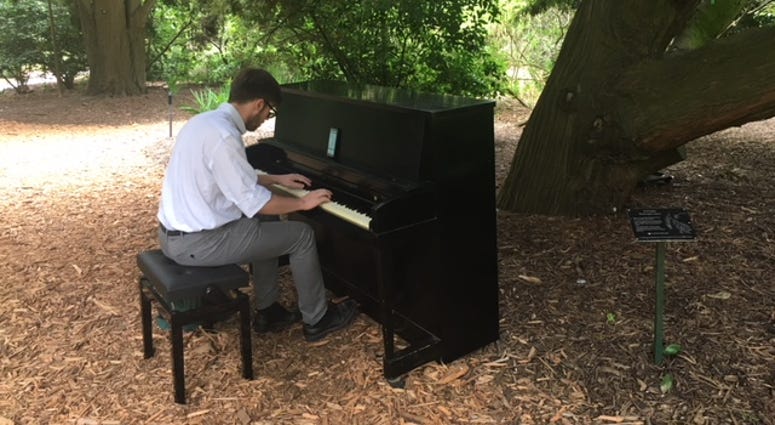 The Flower Piano festival is underway at the San Francisco Botanical Garden, allowing Barrett Feuis, 24, of Shanghai, to play some favorite melodies.