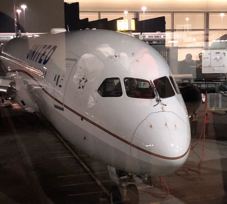 Visible blood on nose of United Airlines 787 Dreamliner Visible blood on nose of United Airlines 787 Dreamliner
