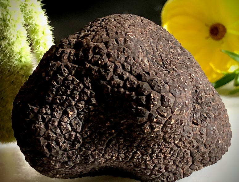 Ken Frank Truffle for Foodie Chap