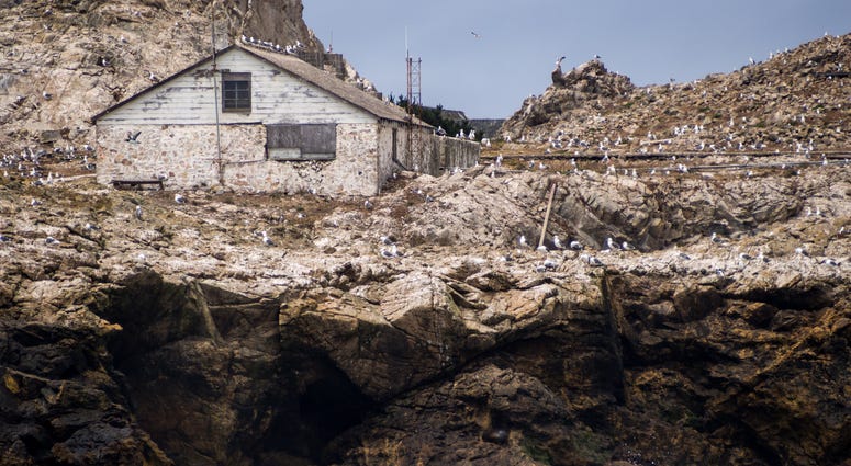 A view of a weather-beaten building on the Farallon Islands off the coast of California. A view of a weather-beaten building on the Farallon Islands off the coast of California.