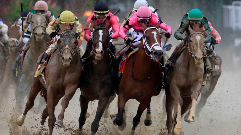 War of Will Maximum Security War of Will (second from left) gets bumped by Maximum Security (third from left) during the 2019 Kentucky Derby.
