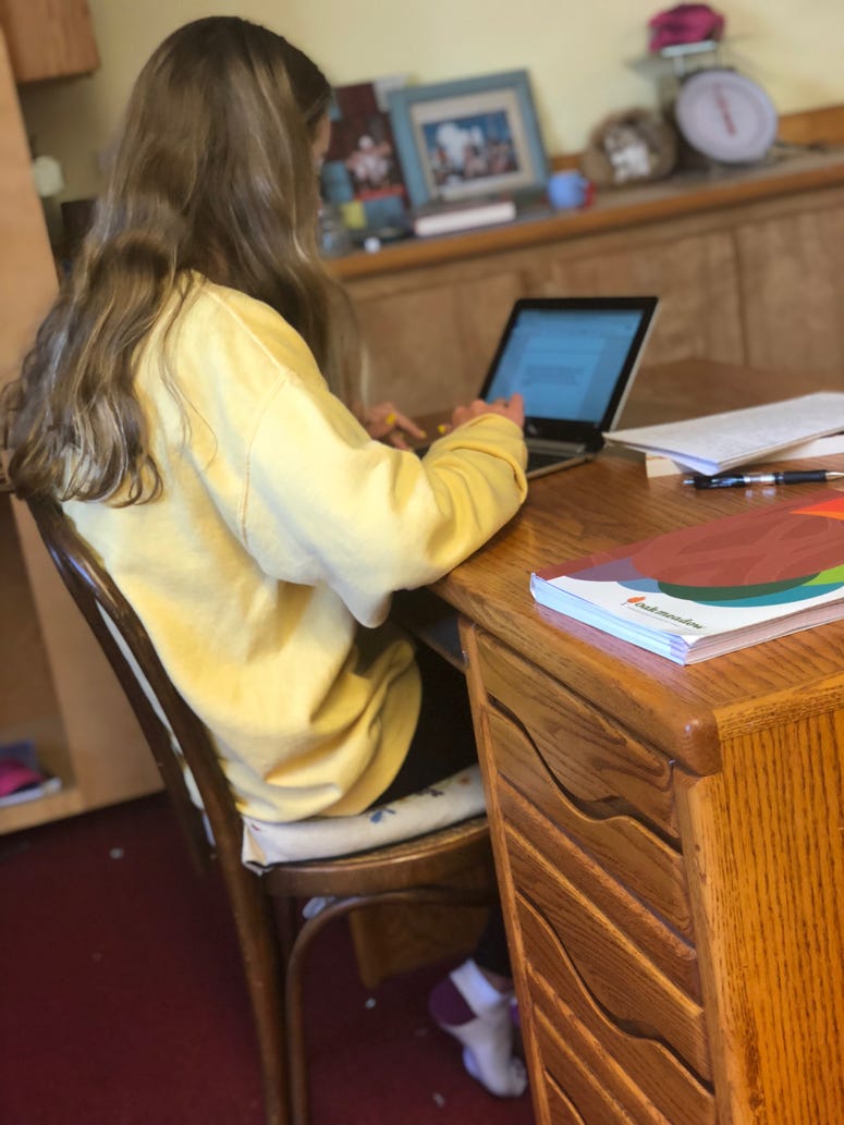 Interest in homeschool peaks as pandemic disrupts education nationwide