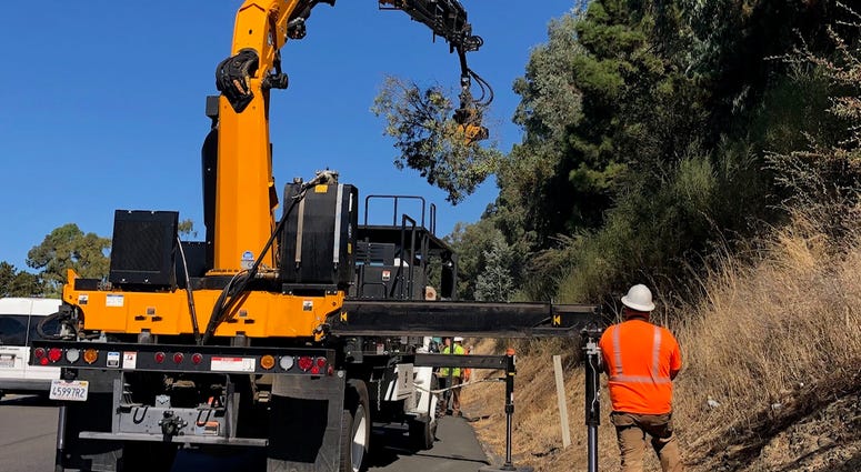 Caltrans crews cut down dying trees along Bay Area highways Caltrans crews cut down dying trees along Bay Area highways