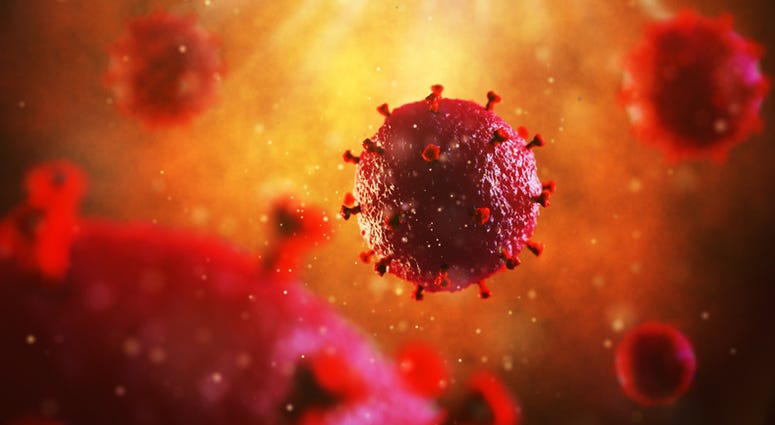 HIV virus HIV virus