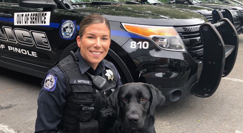 Pinole Police Officer Jennifer Witschi with Milo, a therapy dog that the department has acquired. Pinole Police Officer Jennifer Witschi with Milo, a therapy dog that the department has acquired.