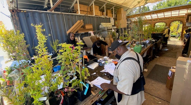 Employees at Planting Justice, which employs formerly incarcerated people