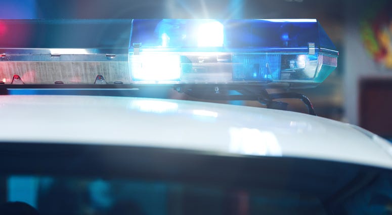 police car police car